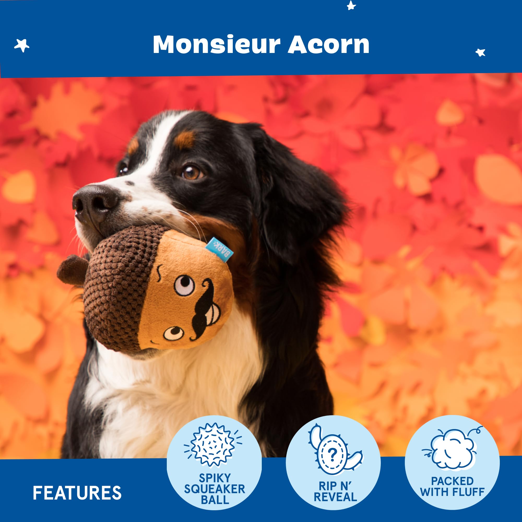 Barkbox Monsieur Acorn textured material close-up enhances chewing interest.