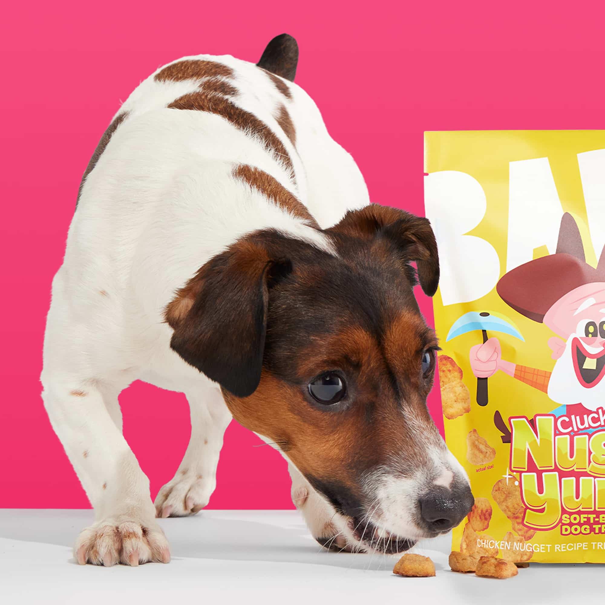 Dog-friendly treat ideal for rewarding good behavior during training or play