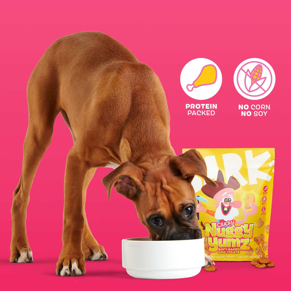 Nutritious ingredient blend supports daily snacking without artificial preservatives