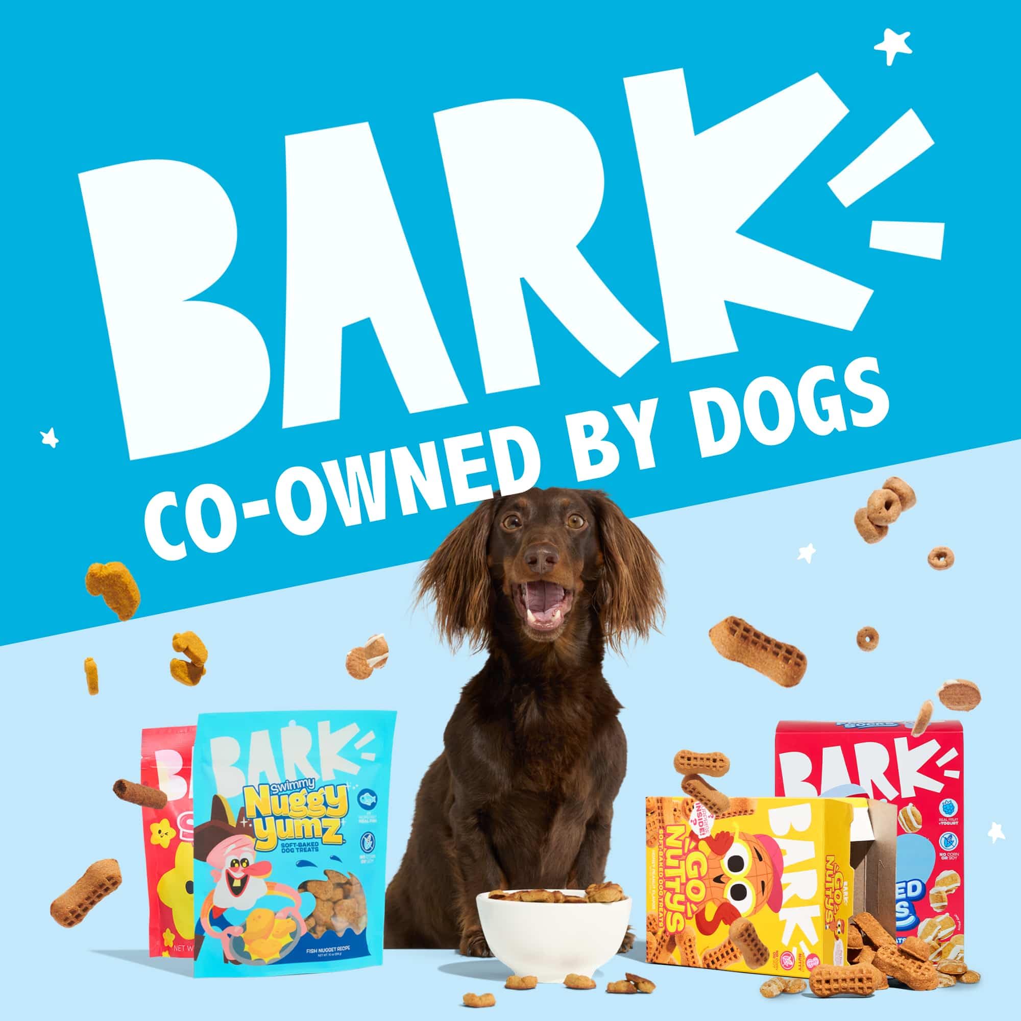 Ridiculously Nutritious tagline on Barkbox Nuggy Yumz packaging for curious dogs