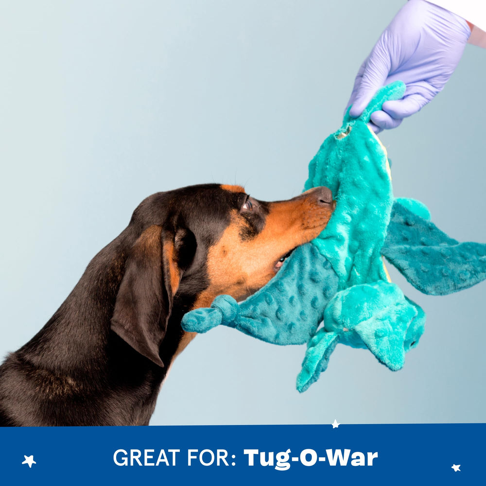 BarkBox Ollie the Octopus with spiky ball squeaker for fetch.