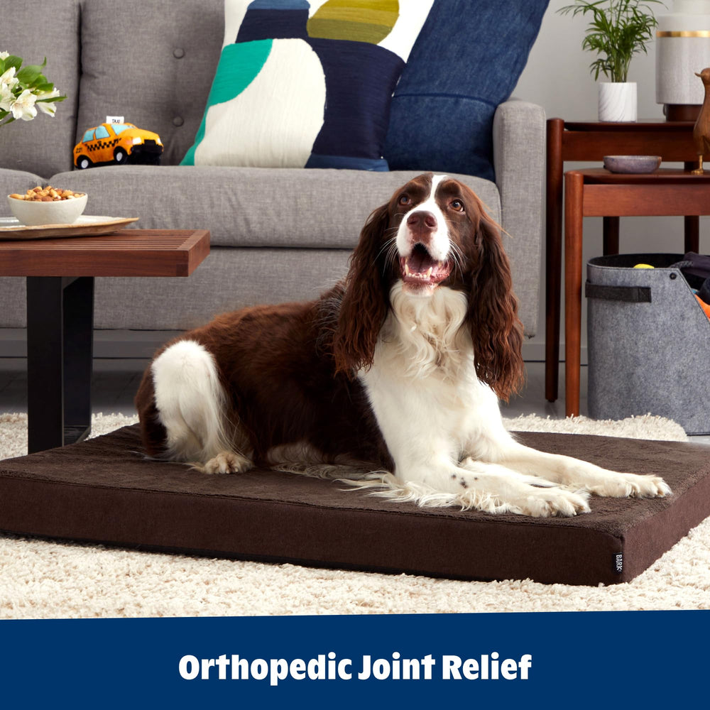 BARKBOX orthopedic bed durable-stitched-edge supports active pets