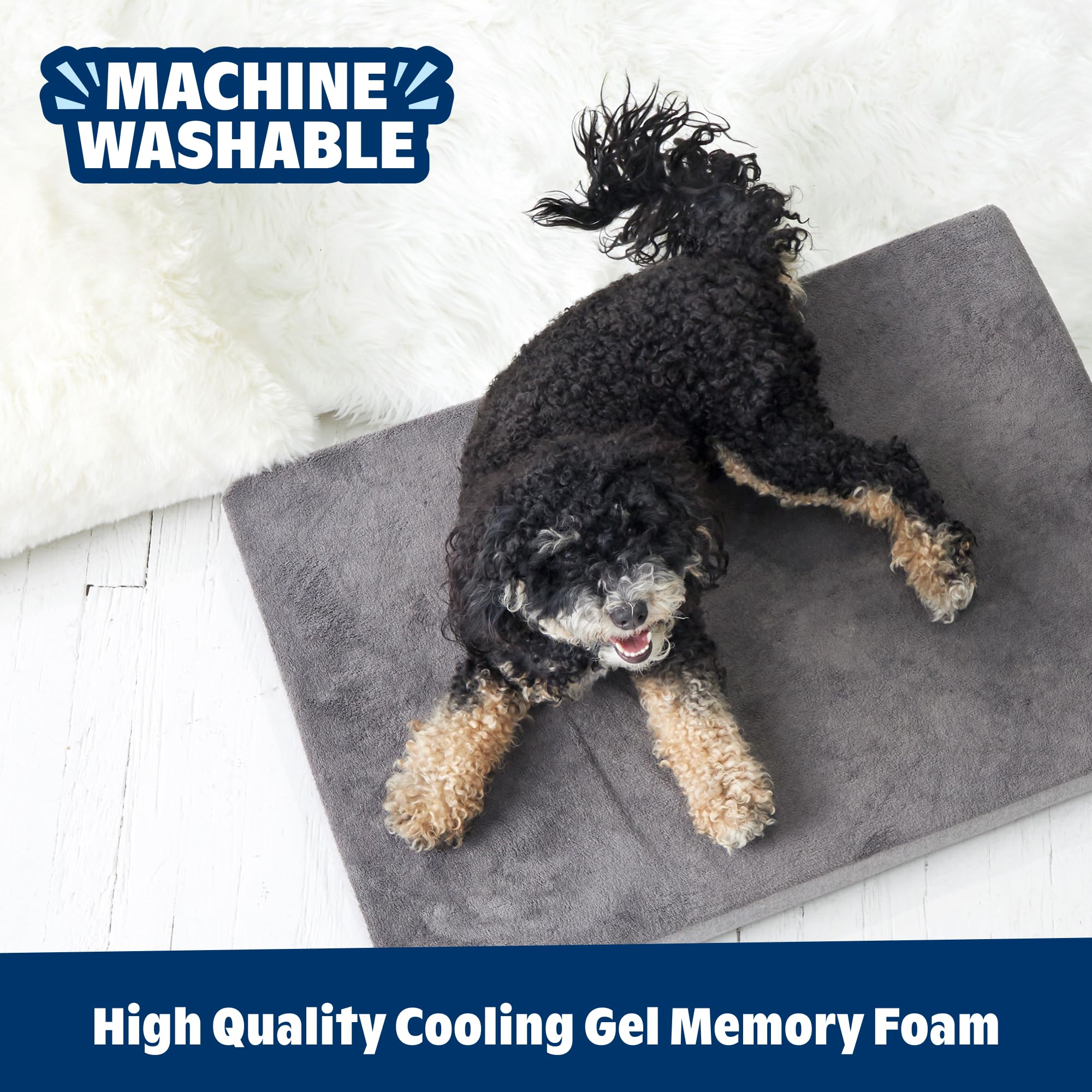 Barkbox bed stitching highlights durability for active dogs.
