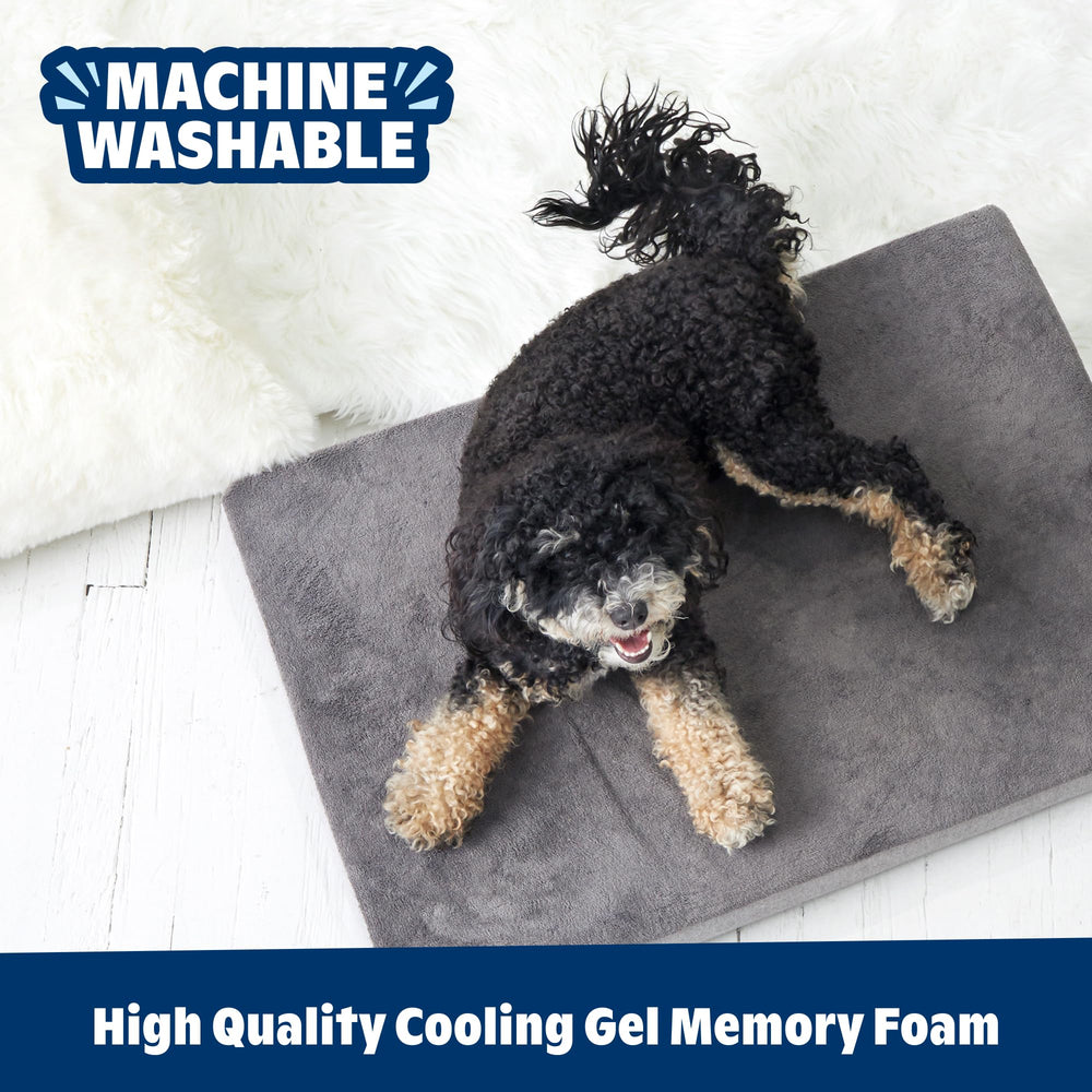 Barkbox bed stitching highlights durability for active dogs.
