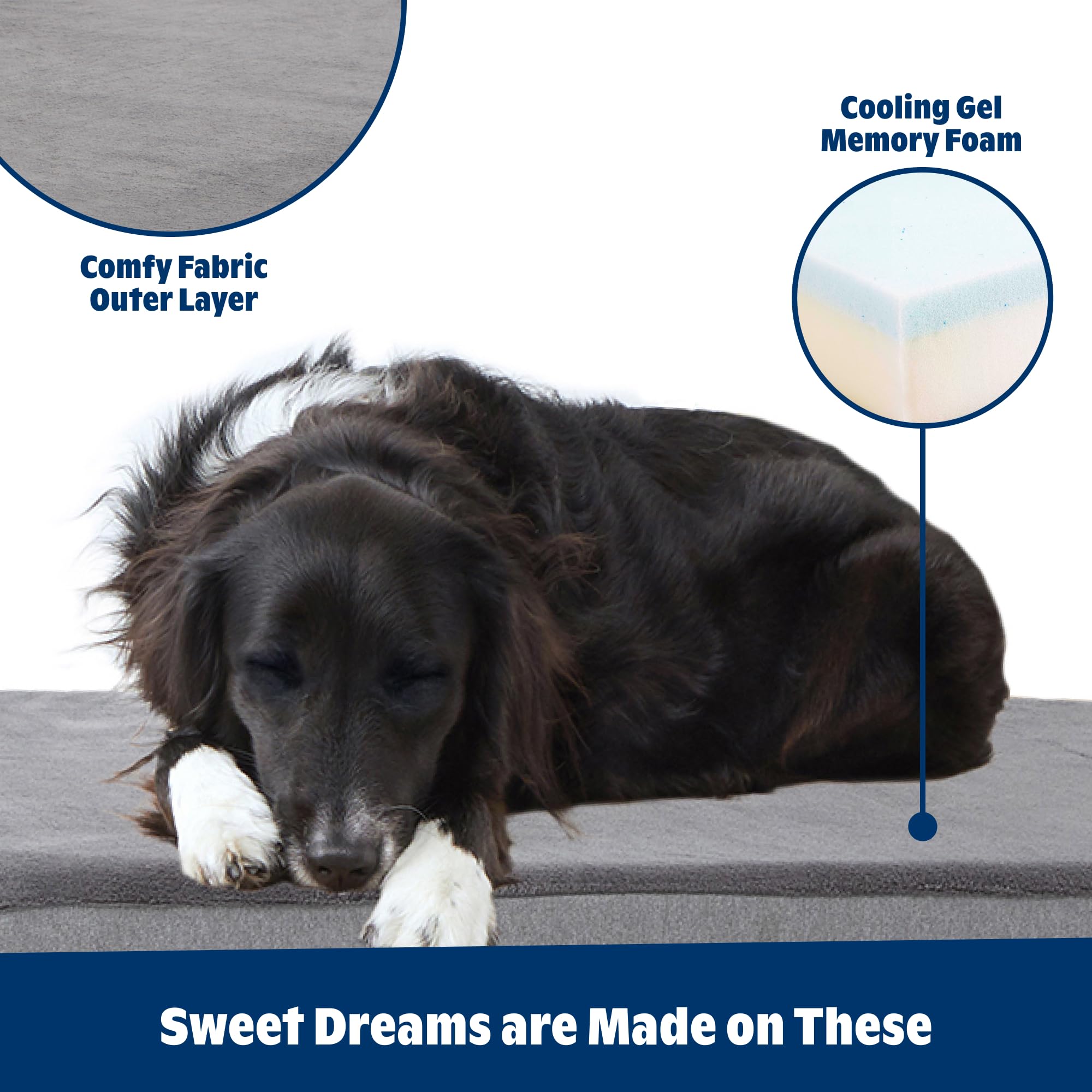 Barkbox orthopedic bed medium size shown for roomy comfort.