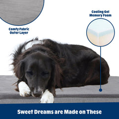 Barkbox orthopedic bed medium size shown for roomy comfort.