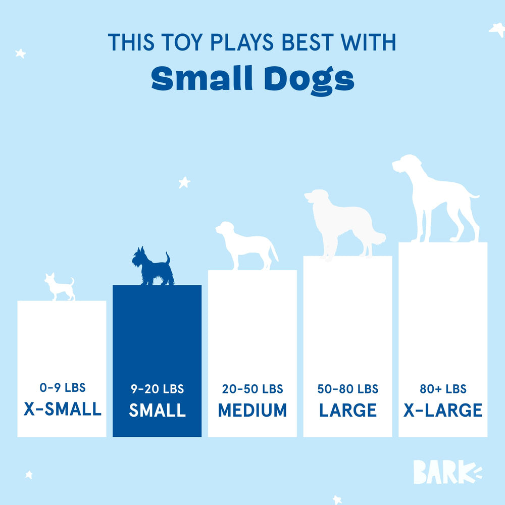 BarkBox Penny The Pineapple durability for aggressive chewers supports long-lasting fun.