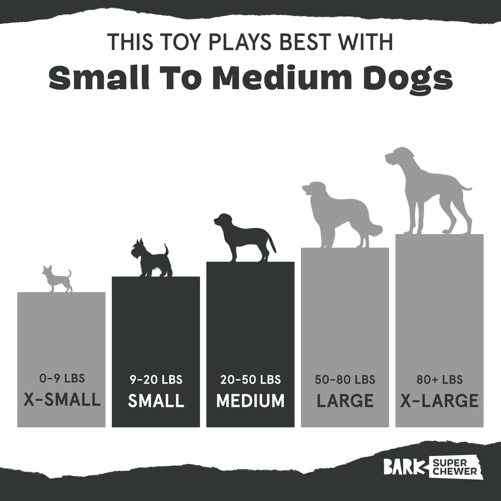 BarkBox Pine Cone tough enough for tug-of-war sessions.