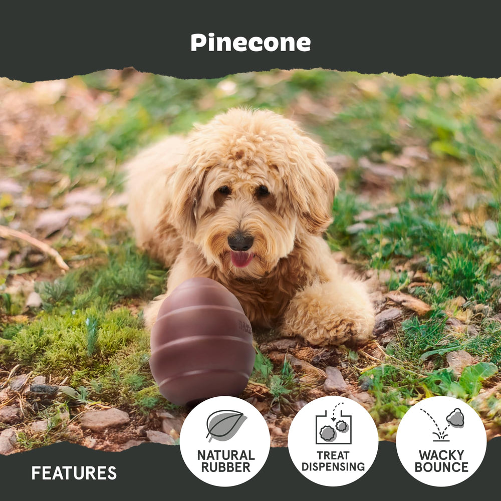 BarkBox Pine Cone dishwasher-safe for quick, easy cleanup.