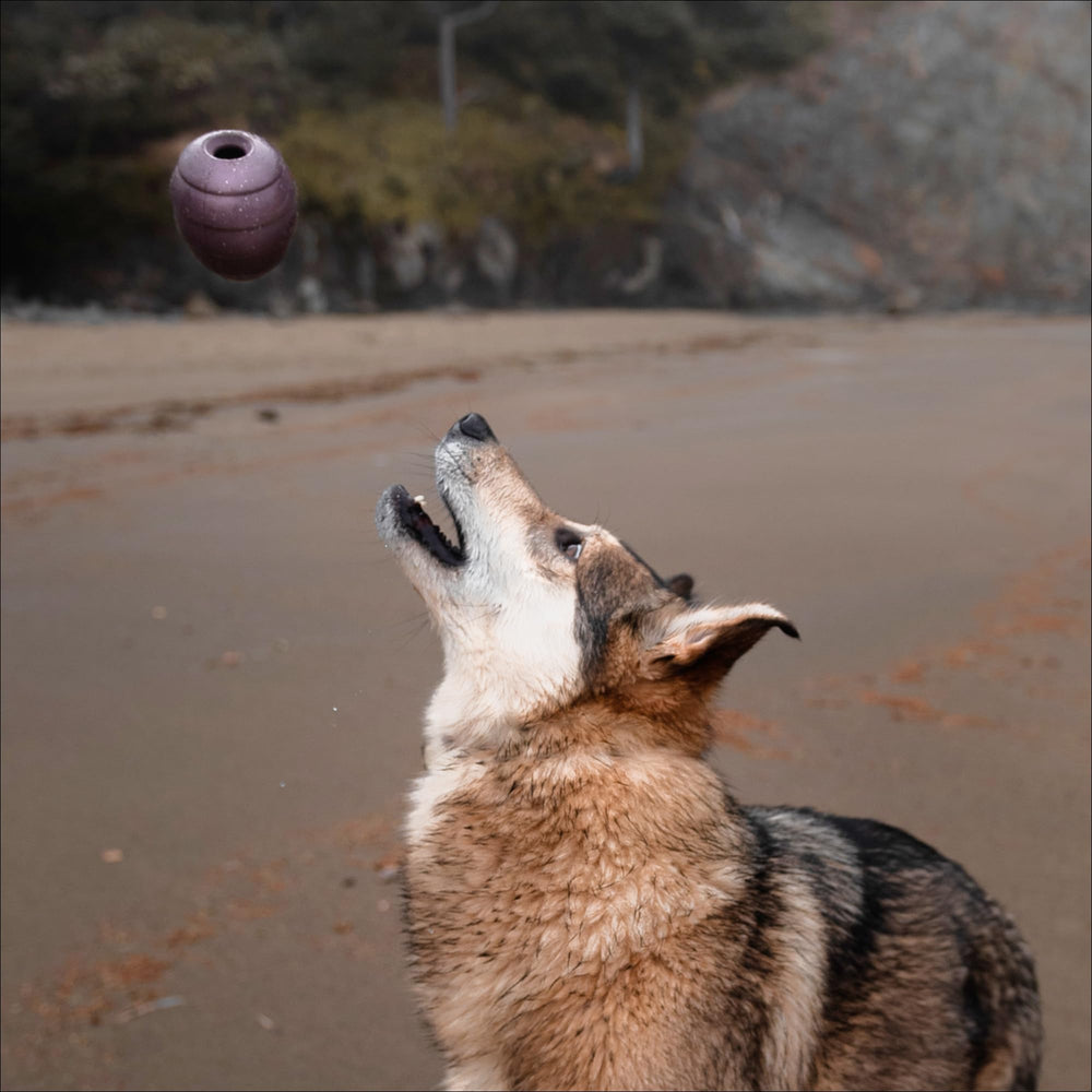 BarkBox Pine Cone ideal for tug-of-war play with dogs.