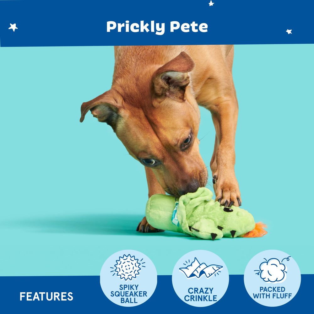BarkBox Prickly Pete spiky ball squeaker supports active fetch play