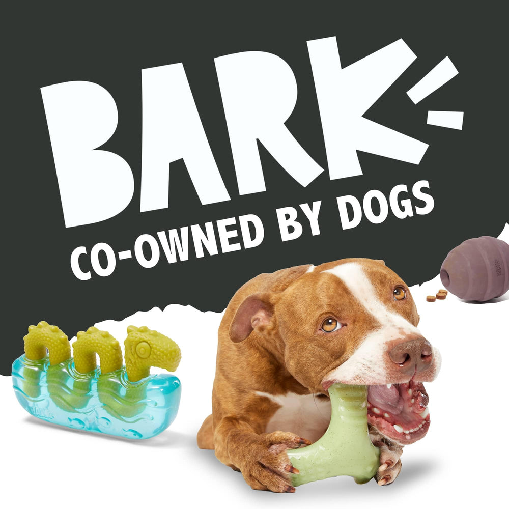 Barkbox estimulación dental suave y diversión durante el juego.