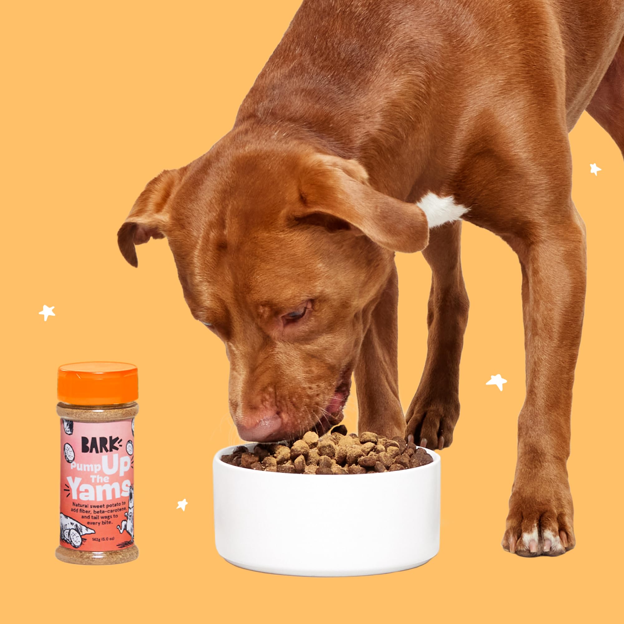 BarkBox Pump Up The Yams finished meal in a bowl