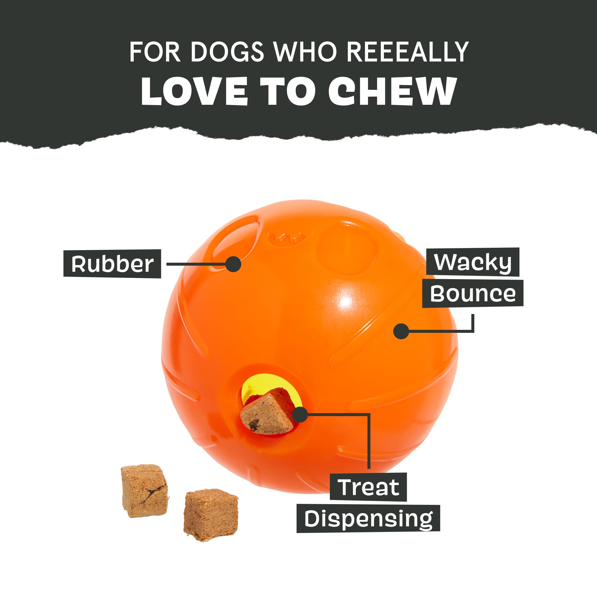 BarkBox Pumpkin Prodigy textured surface supports satisfying chewing sessions.