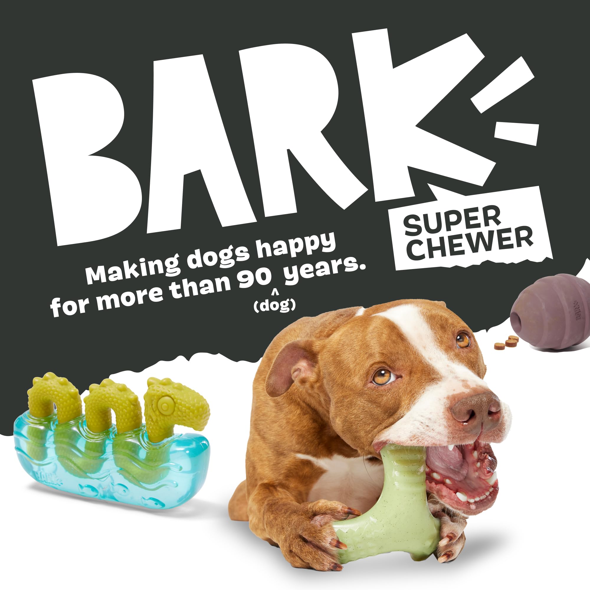 BarkBox Pumpkin Prodigy packaging highlights U.S.-based support and happiness promise.