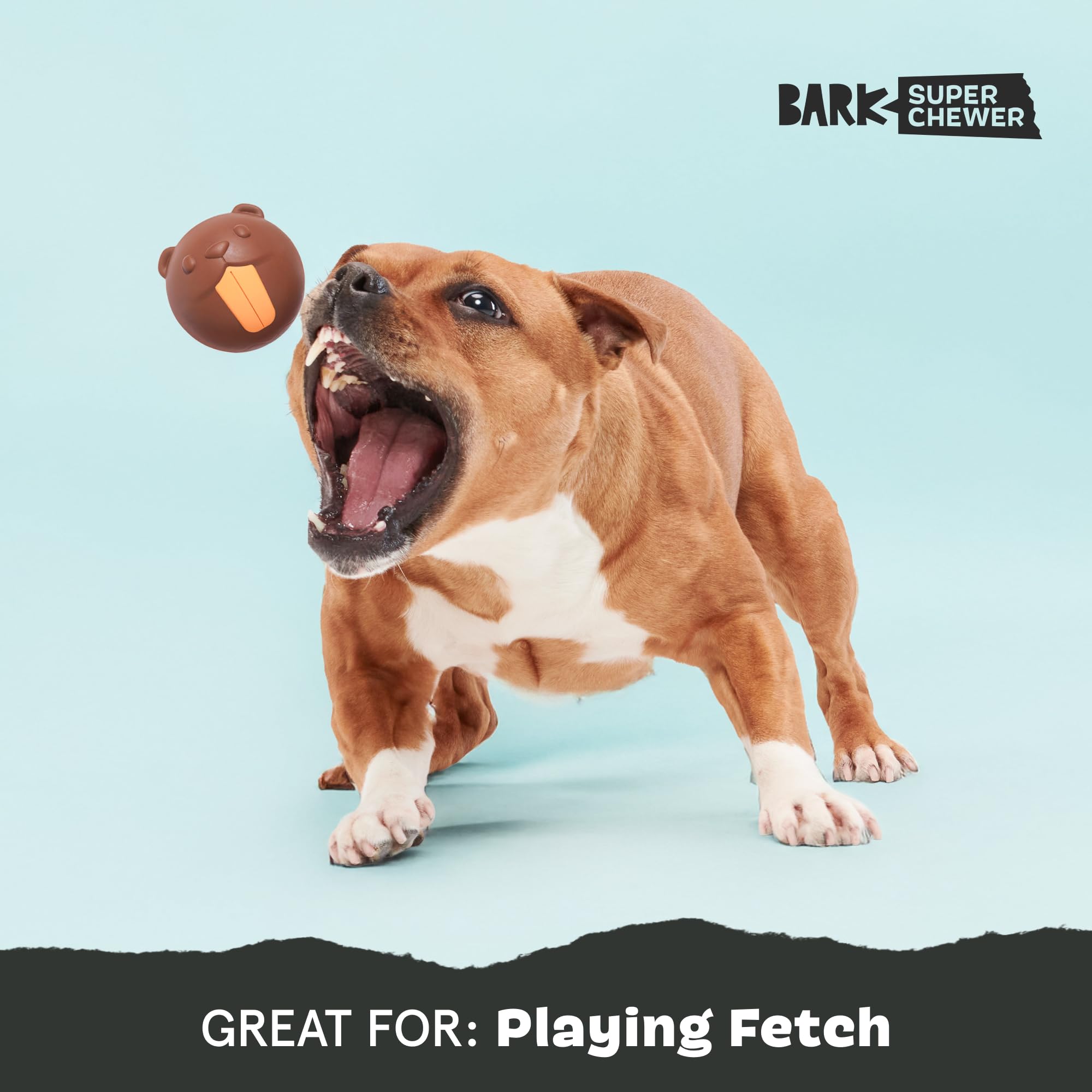BarkBox Ricochet Nutria toy squeaker activated during dramatic playtime.