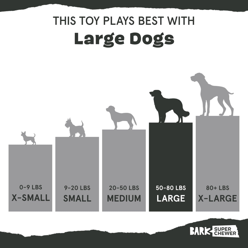 BarkBox Ricochet Nutria toy outdoors showing durable rubber material.