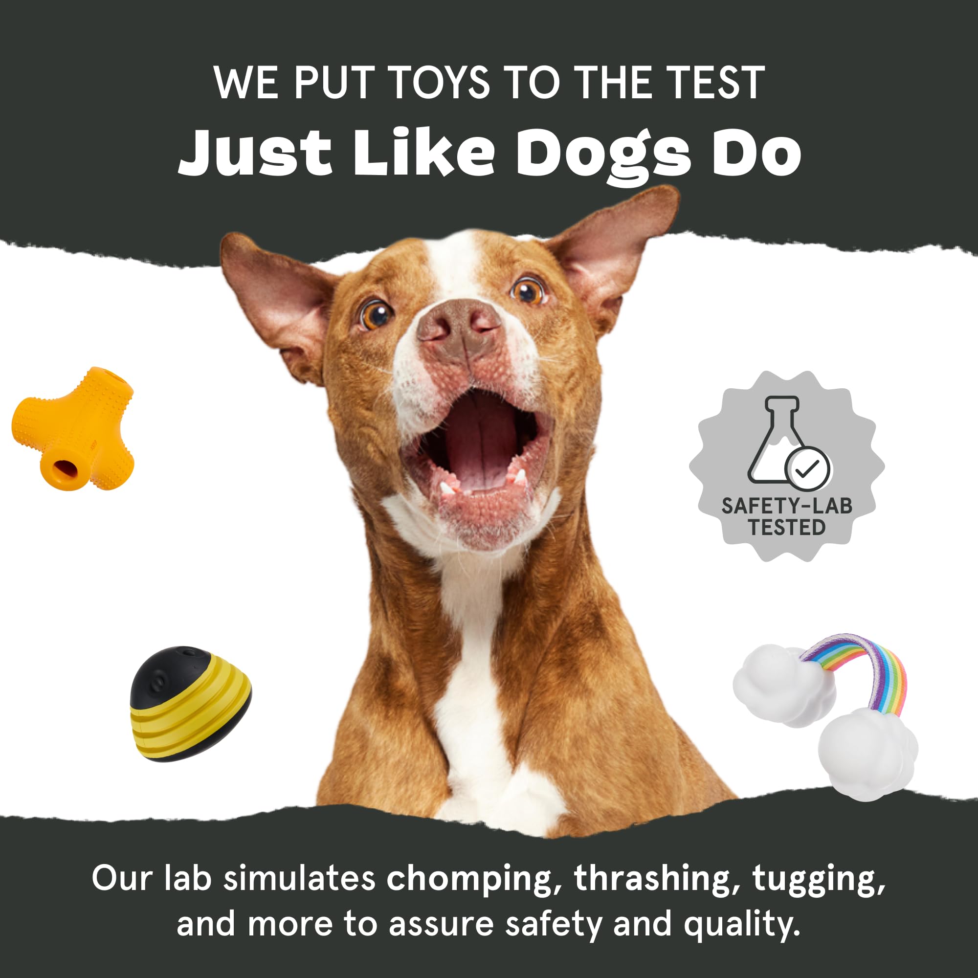 BarkBox Roll and Play Die, backed by US-based support and 100% happiness