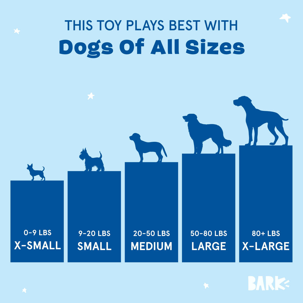BarkBox Signore Pizza Face dog toy in action during fetch sessions for interactive bonding.