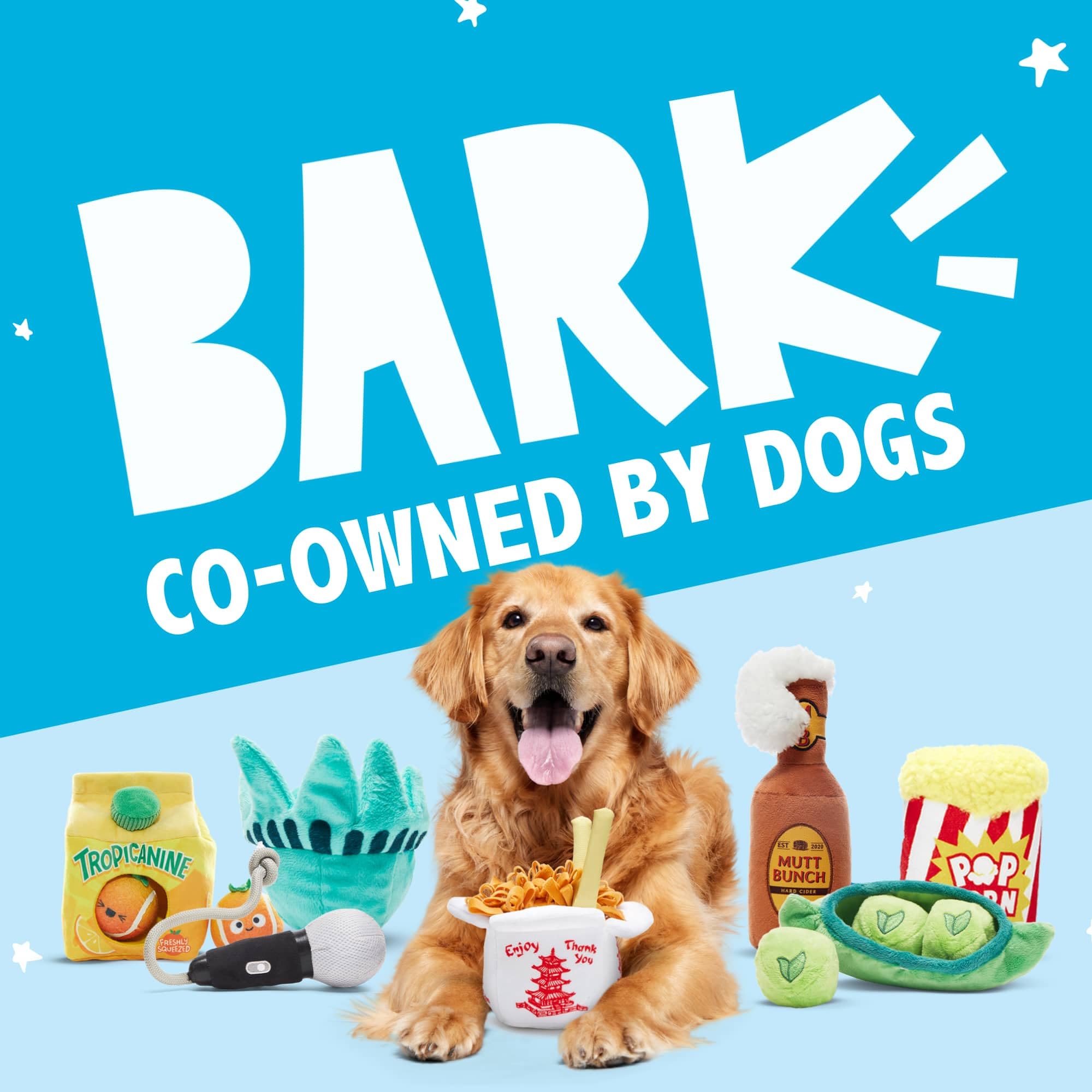 BarkBox Signore Pizza Face dog toy happy pup image illustrating durable, mess-free pizza fun.