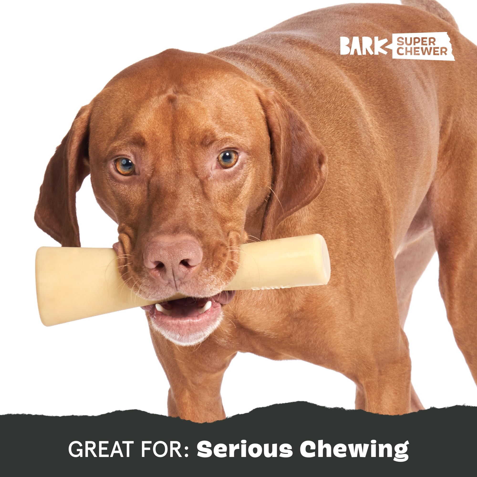 BarkBox Super Chewer scented toy small-1 emphasizes inviting bacon scent for engaging sessions