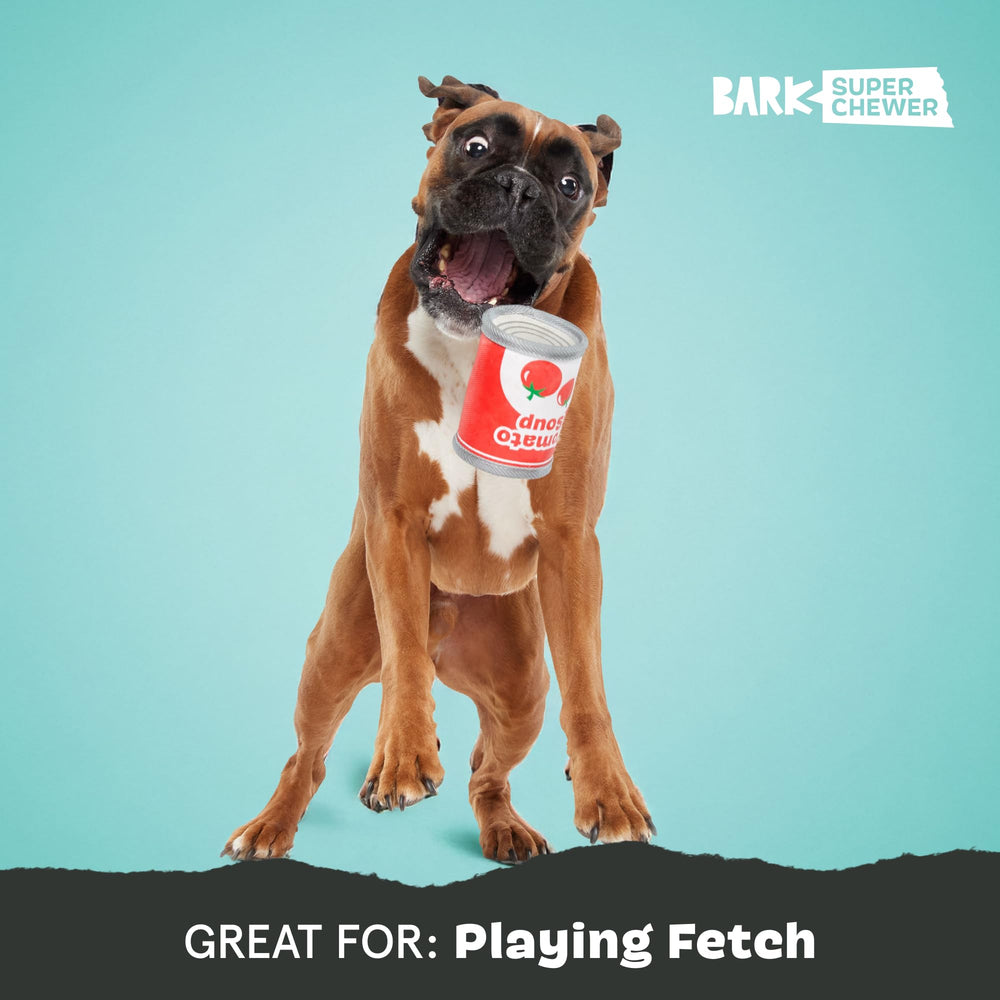 BarkBox Tomutto Soup durable design suits large dogs for long-lasting fetch
