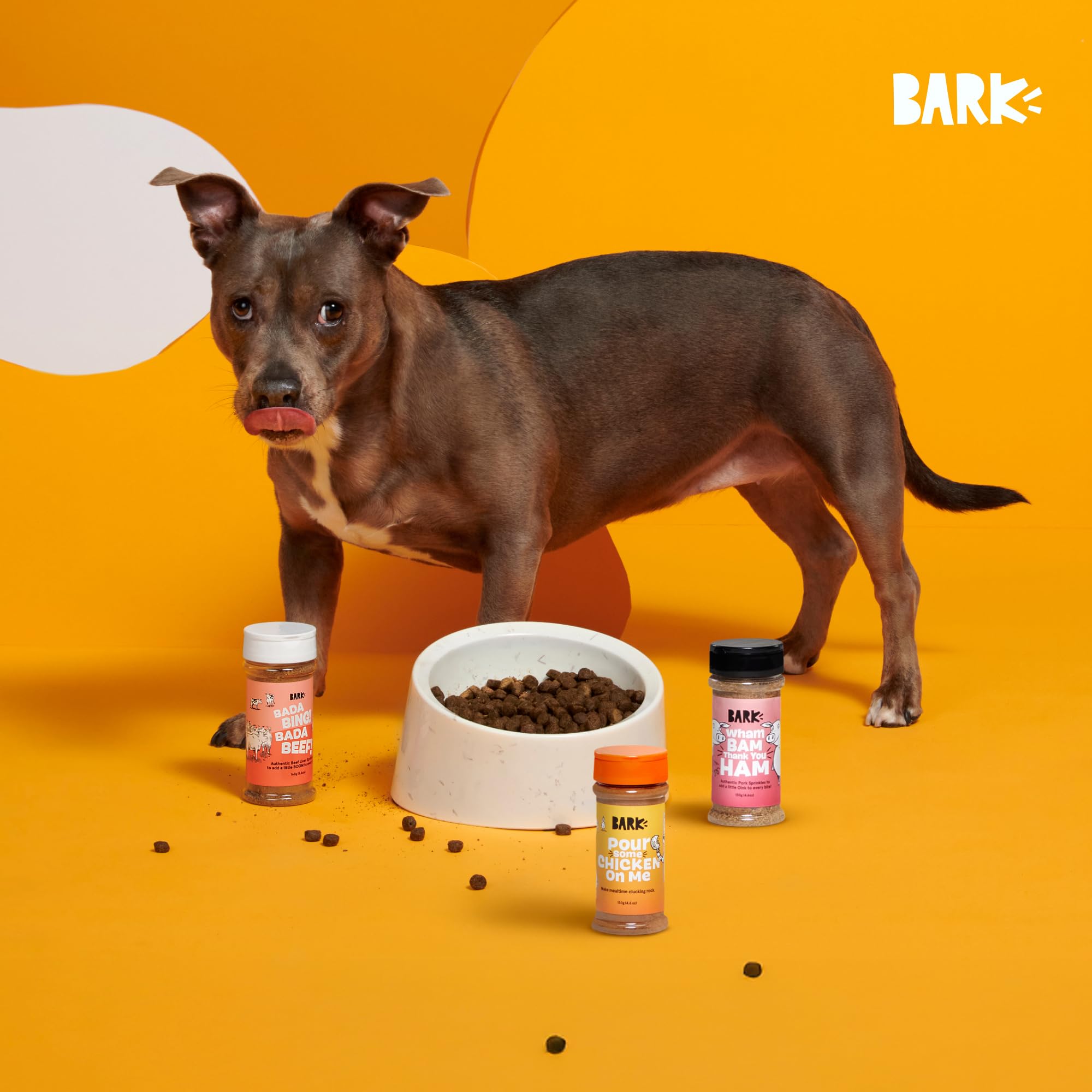 Barkbox topper on large breed chow during lunch crunch