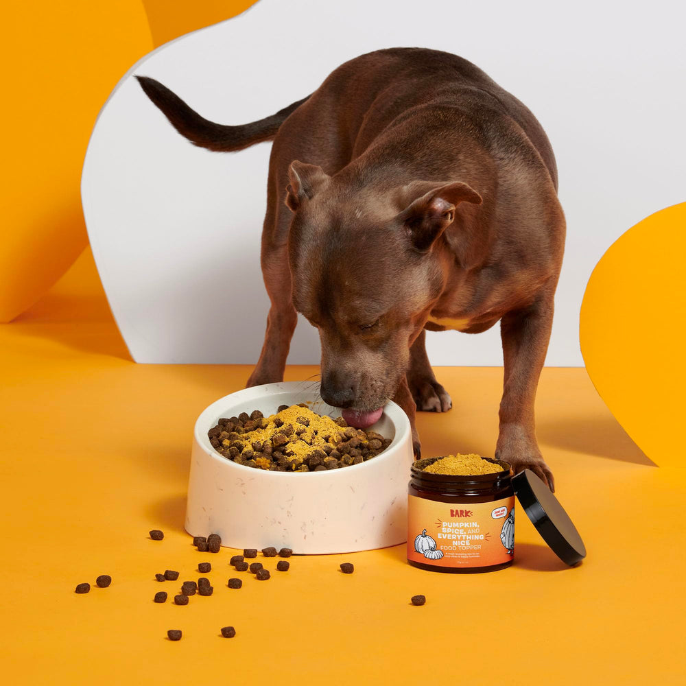 BarkBox topping de calabaza para variar la ración diaria