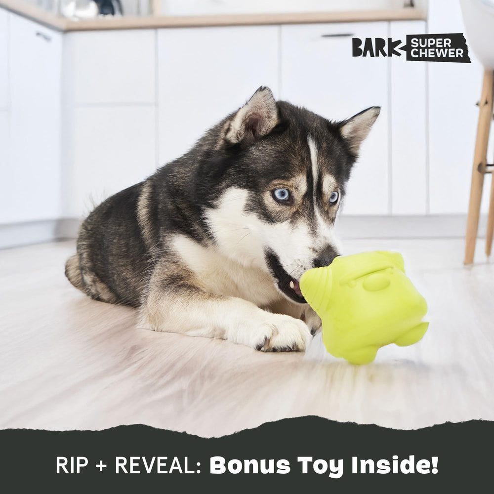 BarkBox Torbert the Troll wacky bounce in motion during fetch