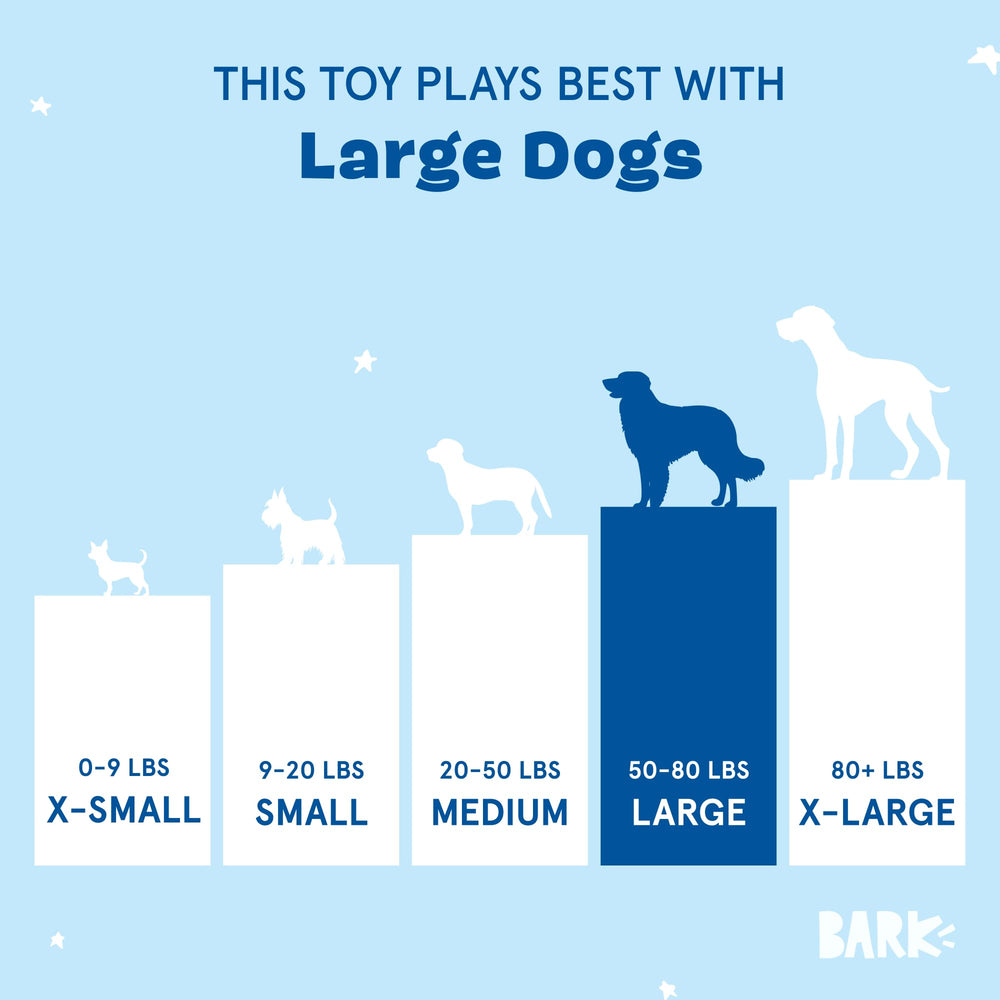 BarkBox Under The Sea packaging banner for gifting