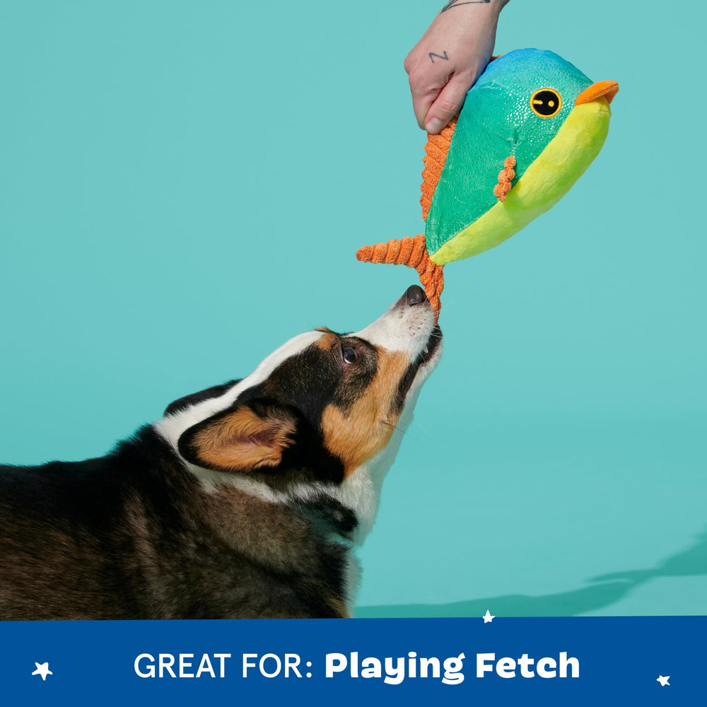 BarkBox Under The Sea plush toy collection with soft textures