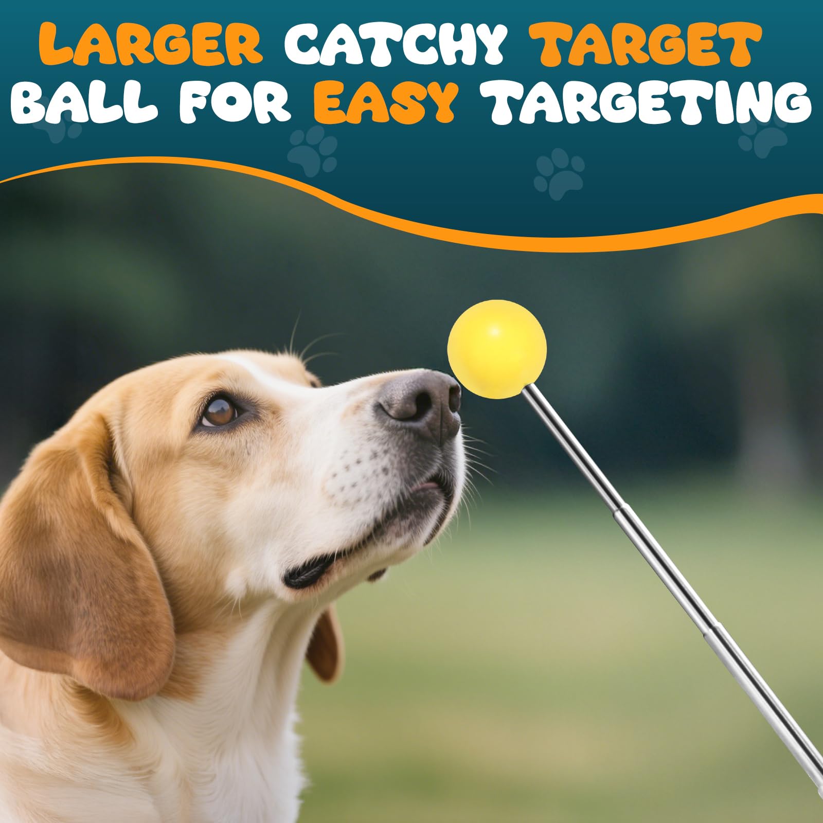 BARKIE yellow target ball draws attention during sessions