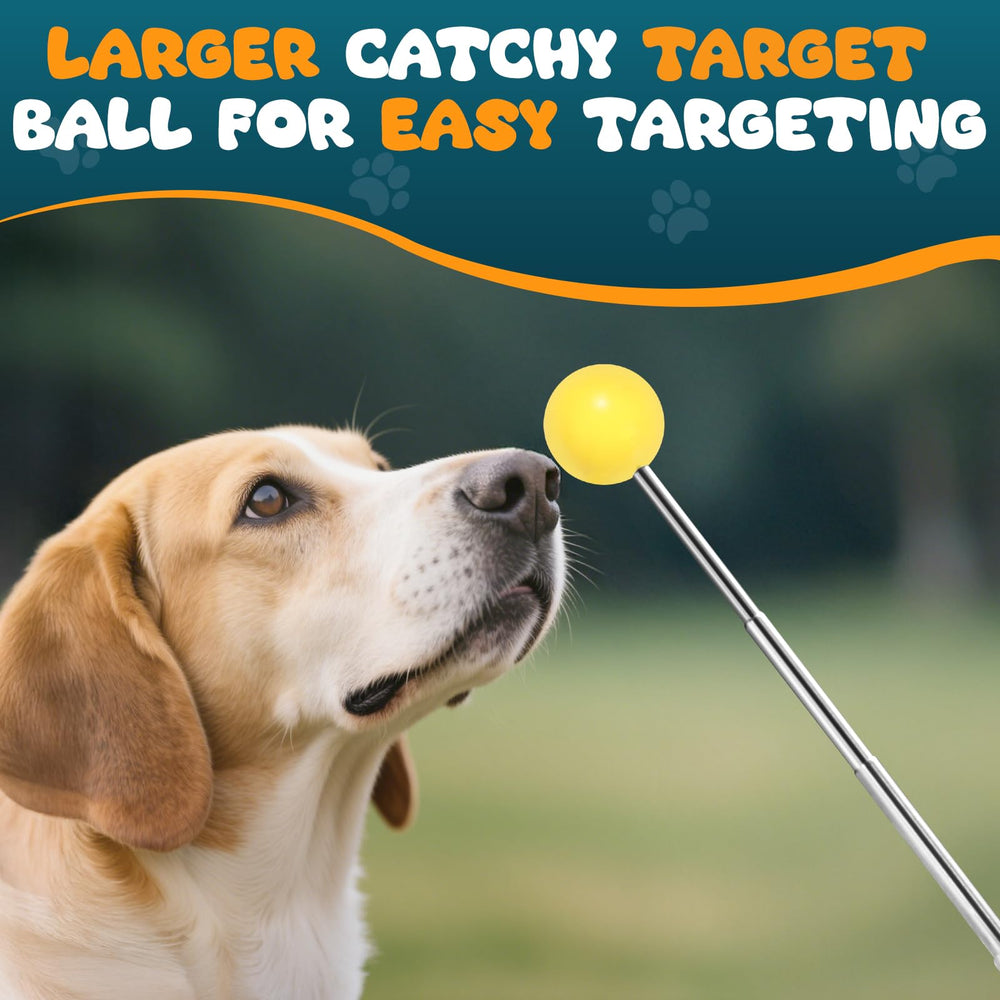 BARKIE yellow target ball draws attention during sessions