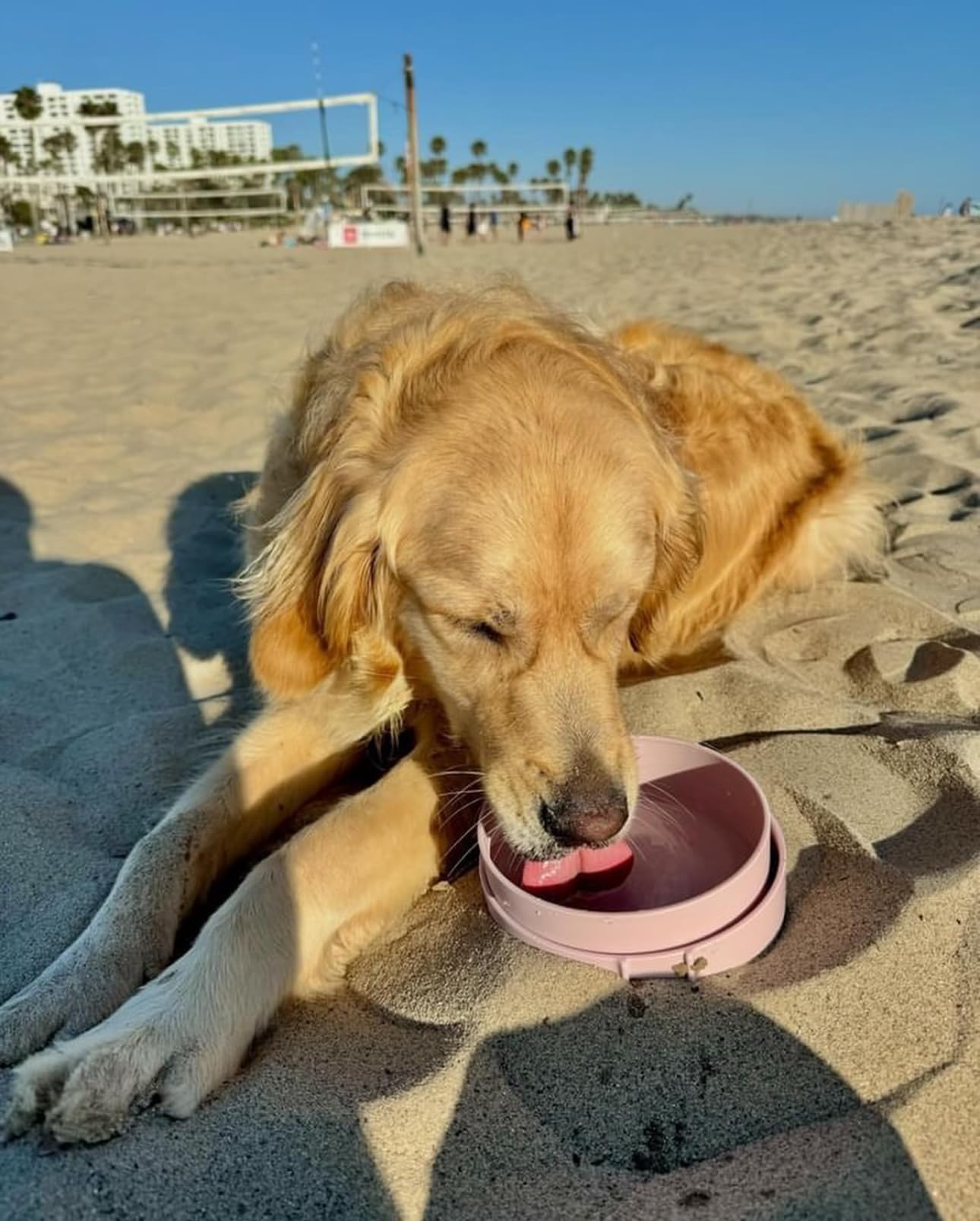 Barkin' Trails Travel Dog Bowls blush and icy blue colors with strap.