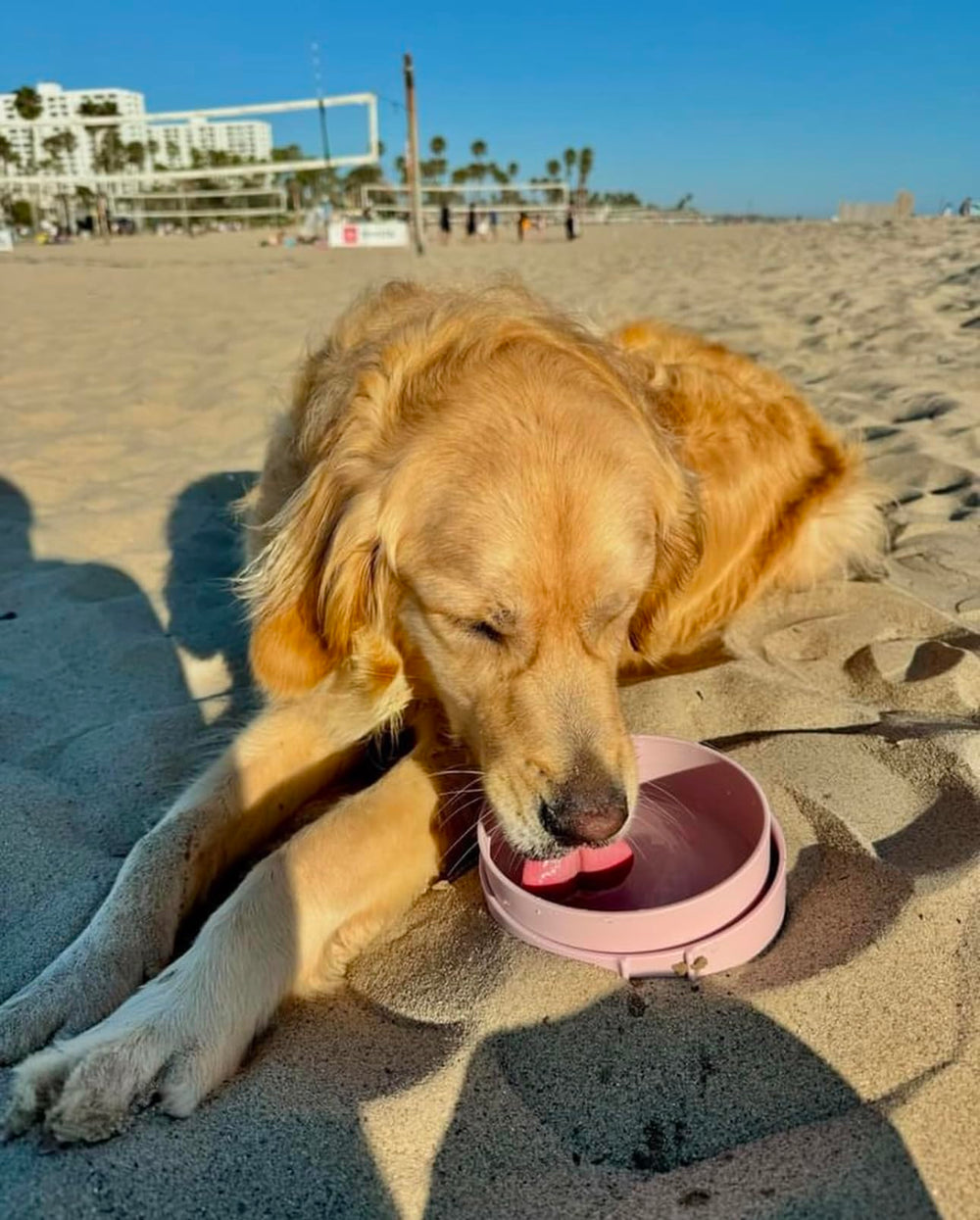 Barkin' Trails Travel Dog Bowls blush and icy blue colors with strap.