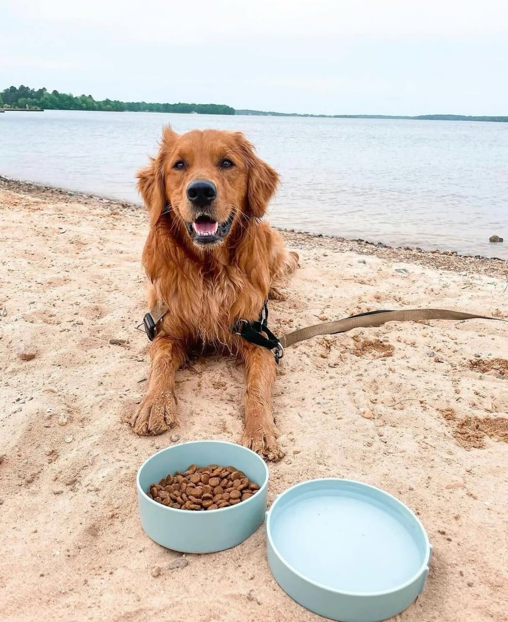 Barkin’ Trails travel bowls with a matching strap for easy organization.