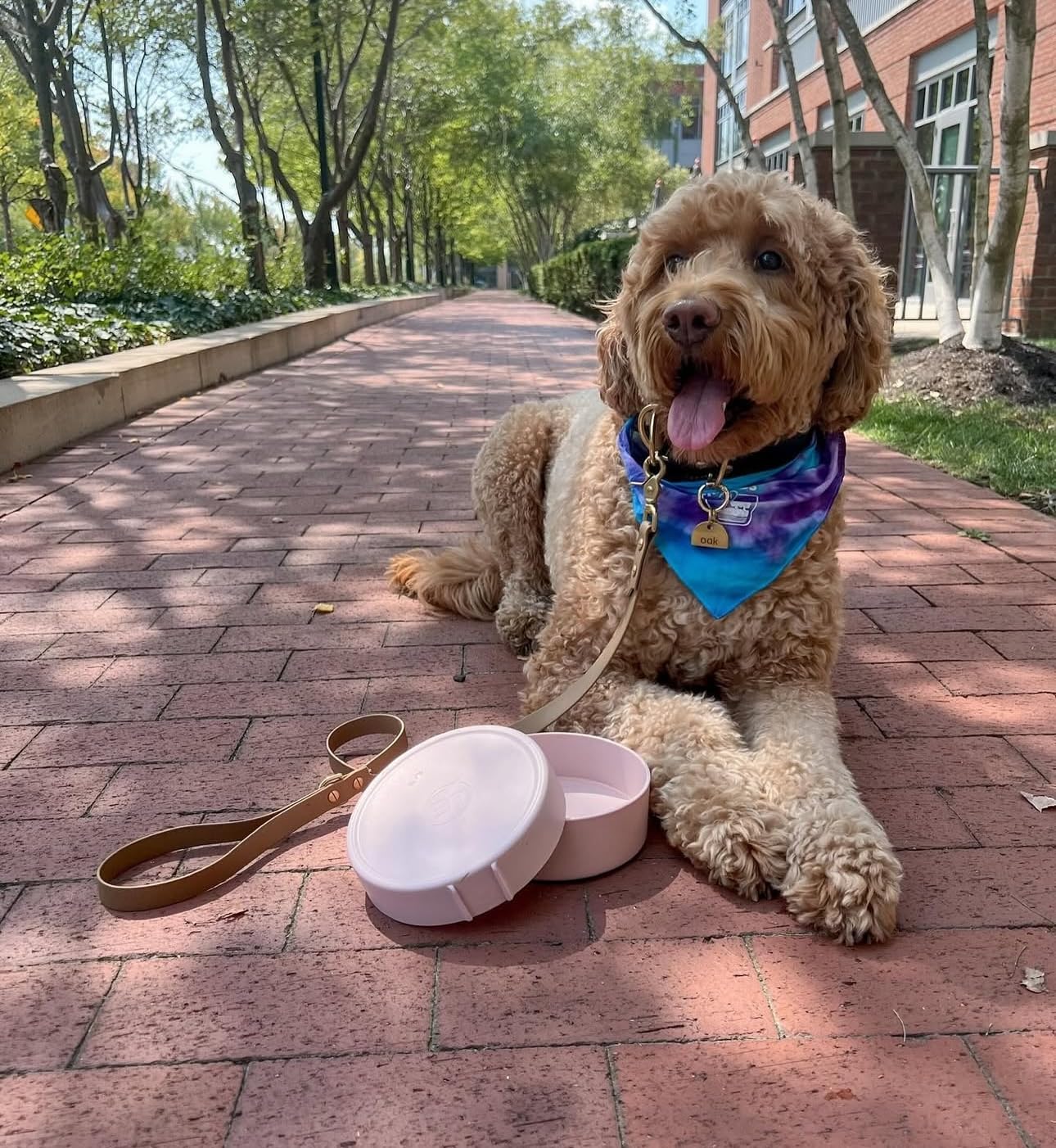 Barkin' Trails Travel Dog Bowls with strap keeps bowls together during transport.