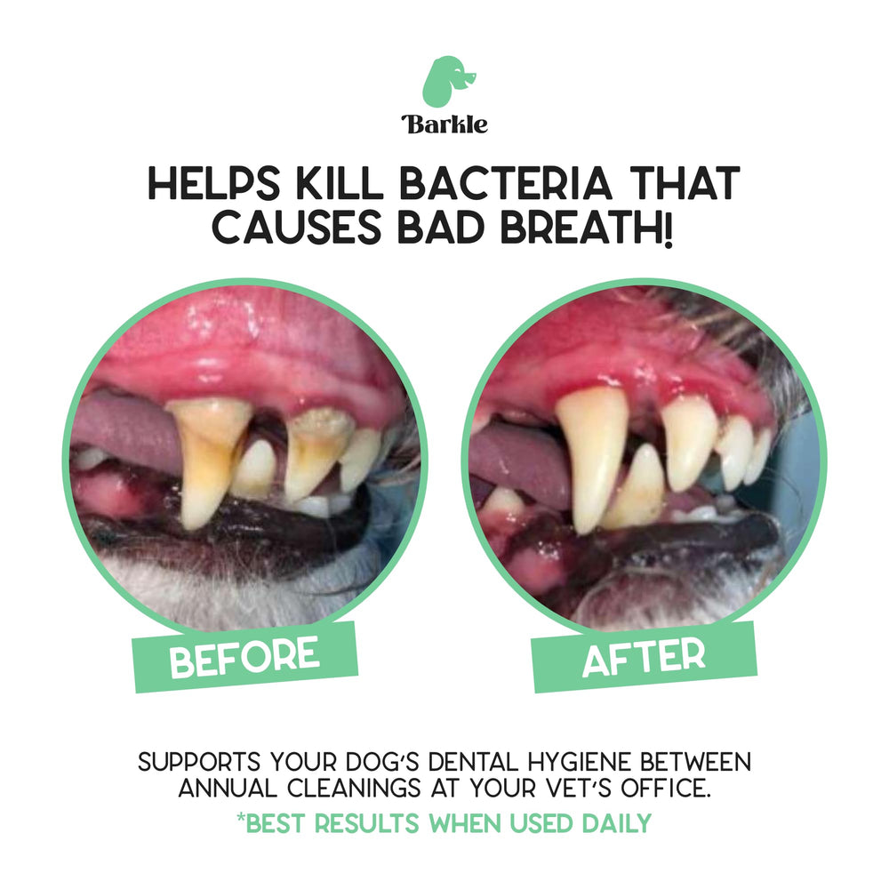 Barkle dog teeth gel applicator showing fast, gentle dental gel application.