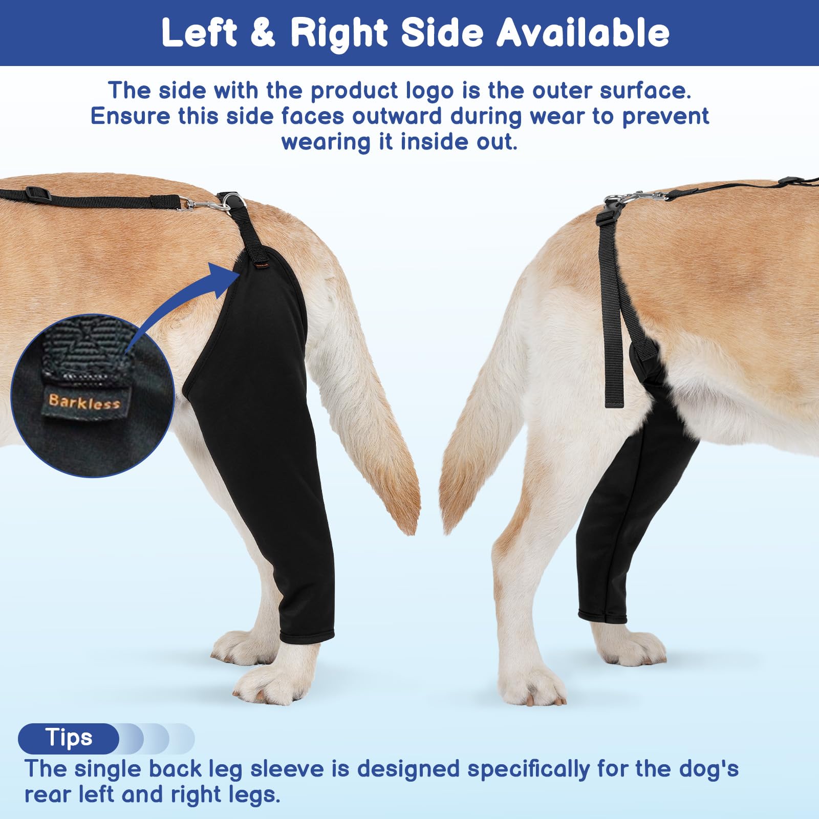 Barkless adjustable straps and buckle provide secure, customized fit for canine comfort.