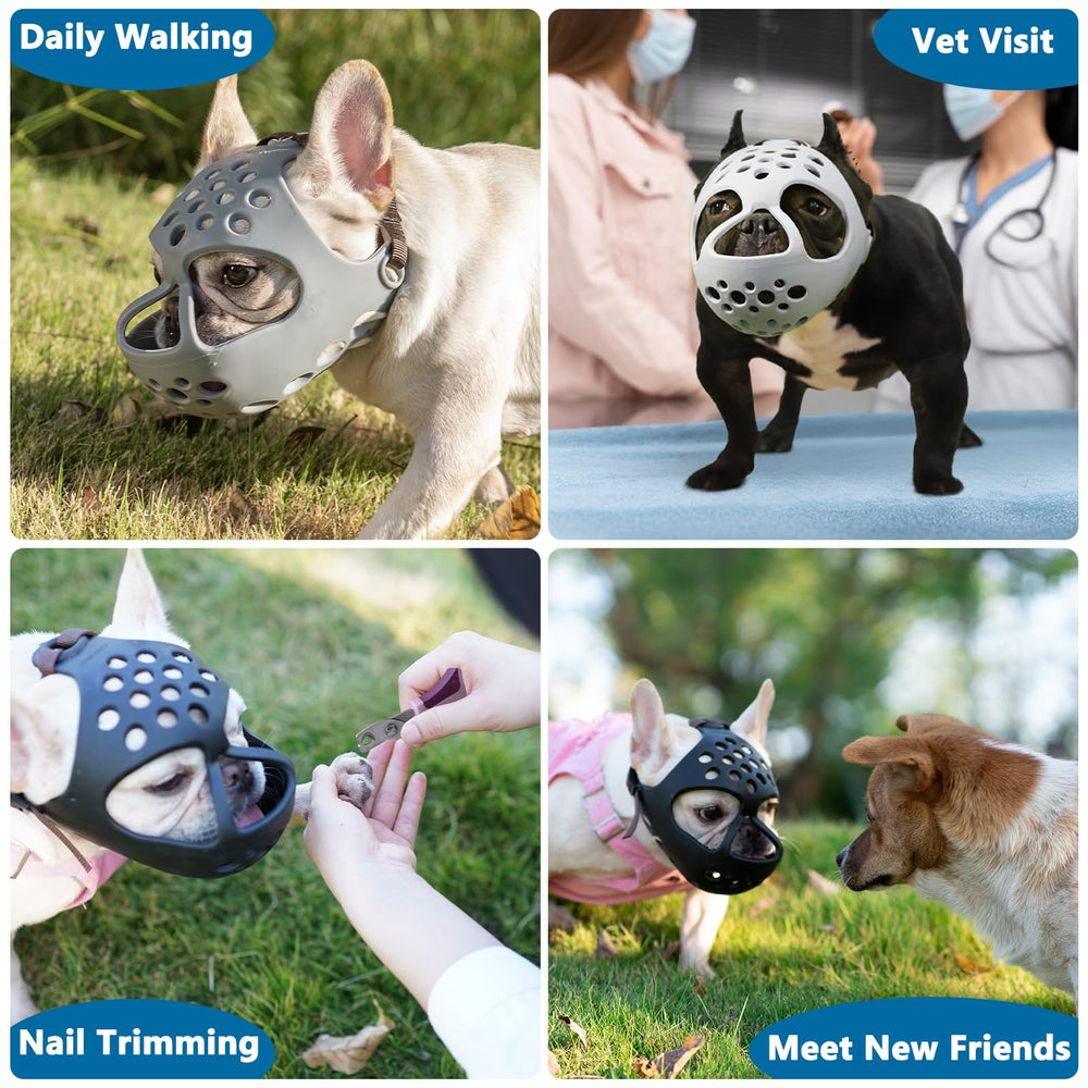 BARKLESS brachycephalic dog muzzle fitting guidance for proper fit.