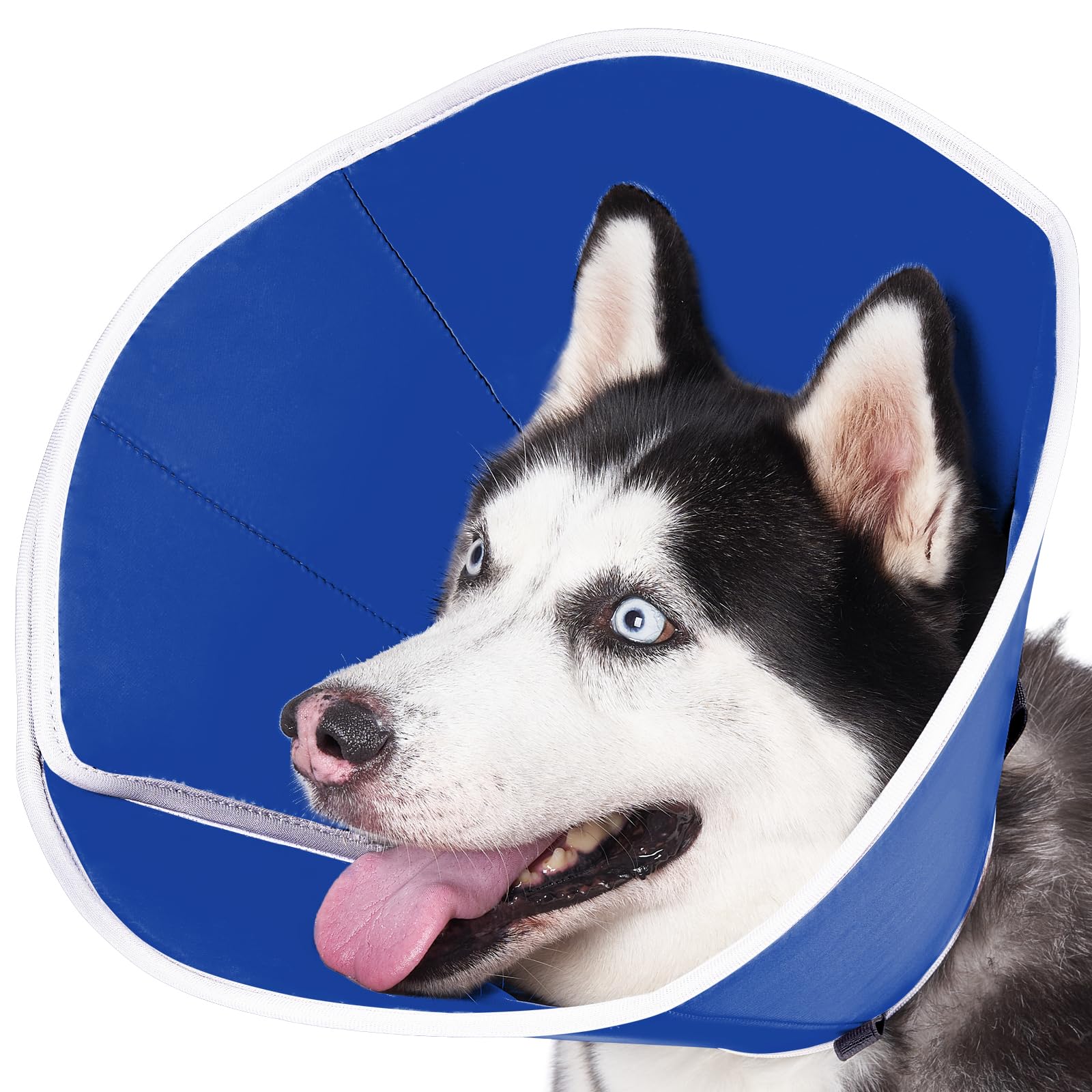 BARKLESS dog cone blue small-neck fit protects wounds and stitches
