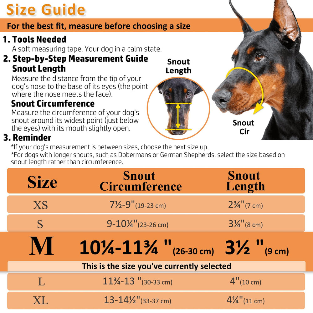 BARKLESS desensitization-training muzzle supports gradual introduction.