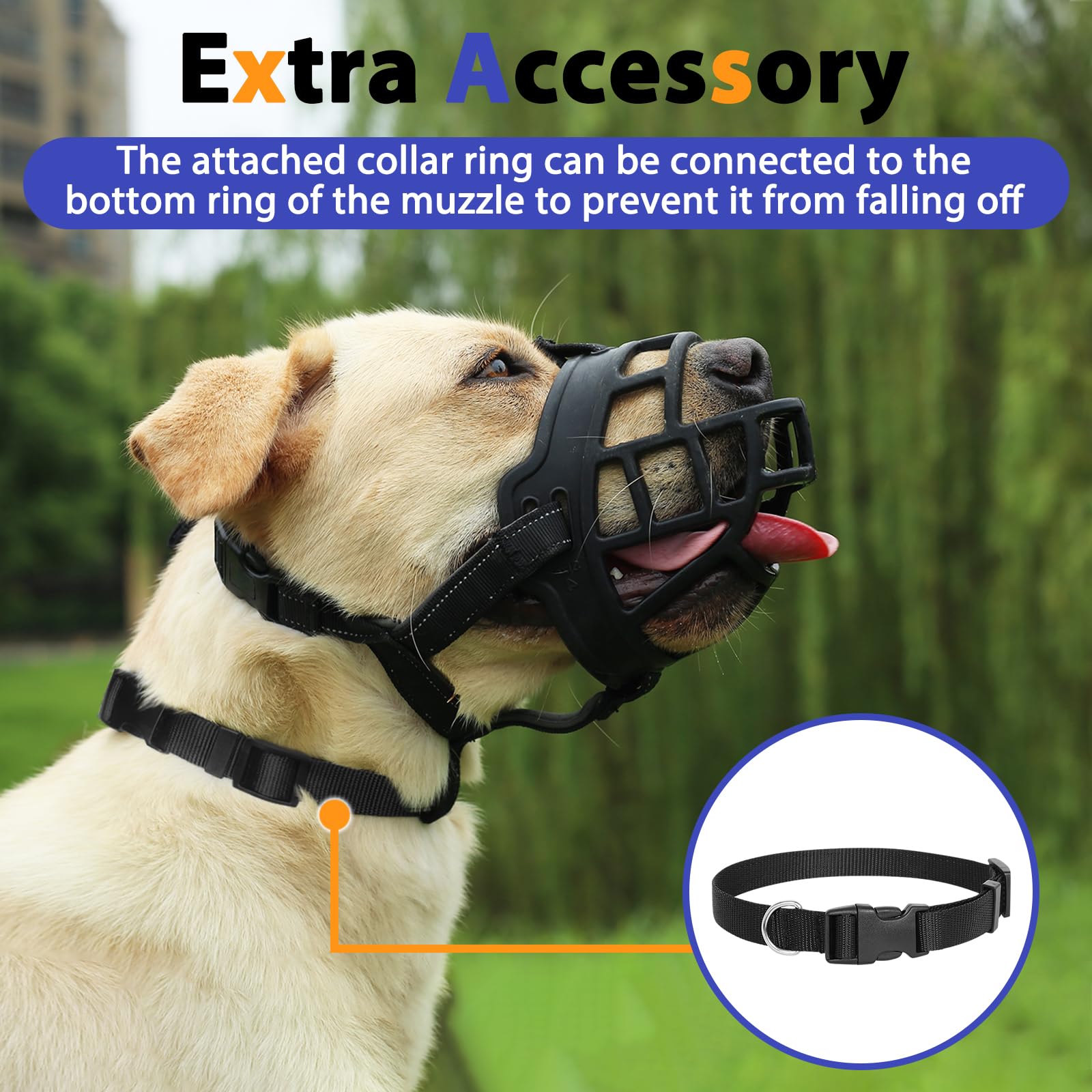 BARKLESS muzzle on medium dog with precise snout measurement for proper fit