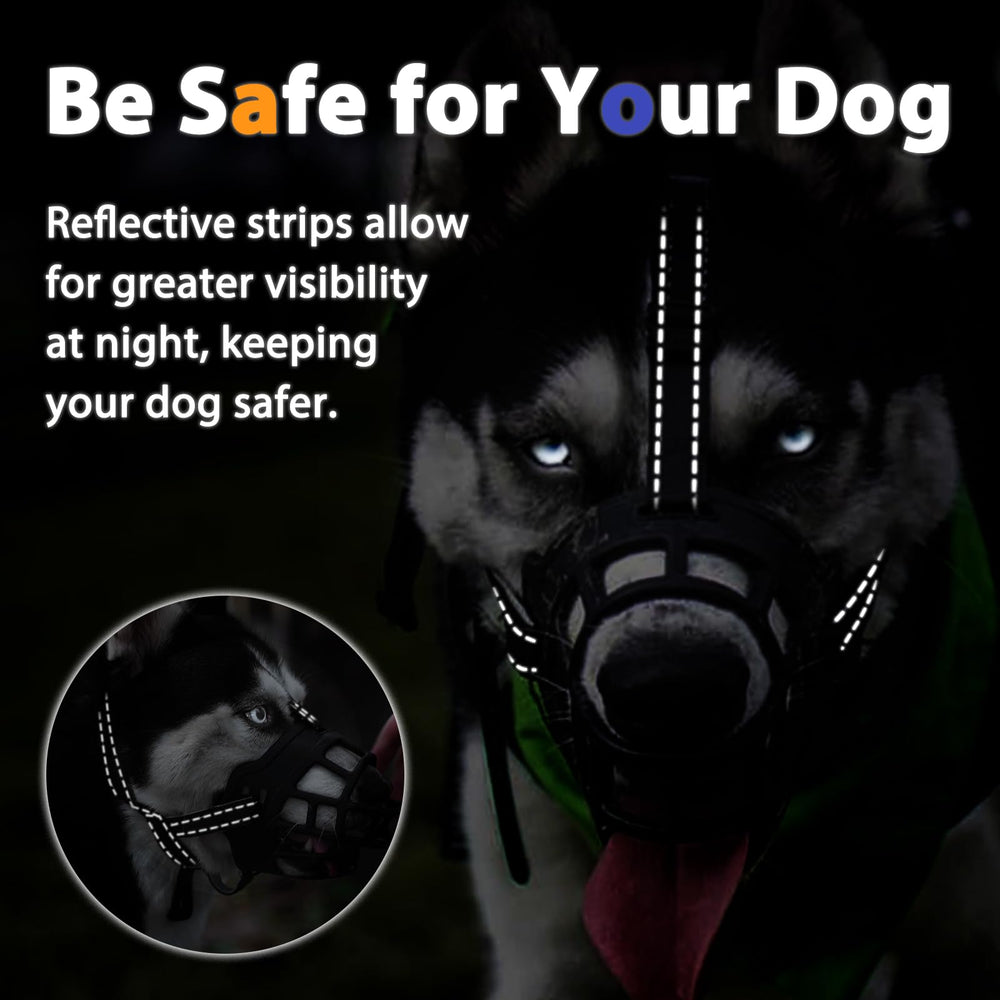 BARKLESS muzzle promotes training with treats for gradual acclimation