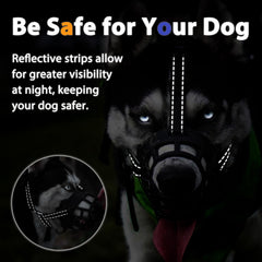 BARKLESS muzzle promotes training with treats for gradual acclimation