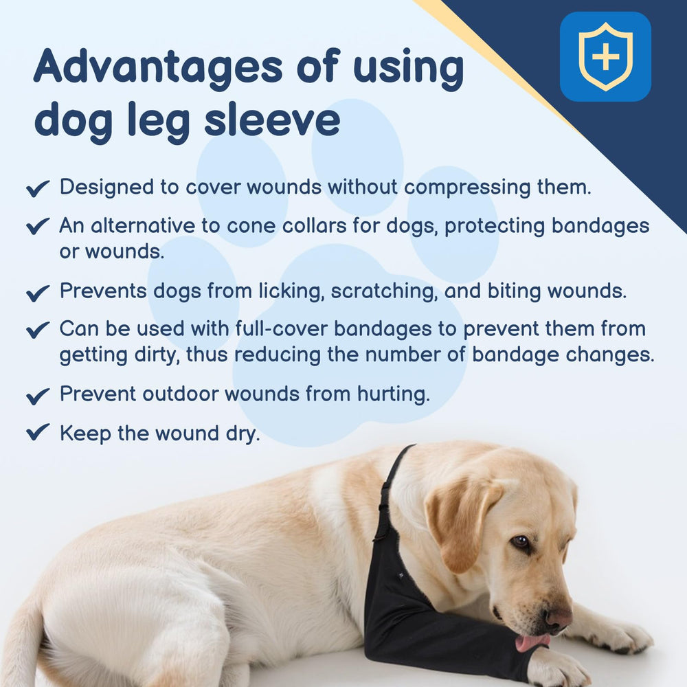 BARKLESS care and wash instructions show easy cleaning for reuse