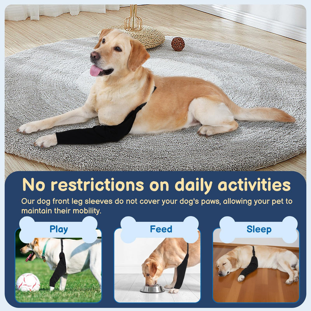 BARKLESS chest strap closeup shows secure fit during walking and play