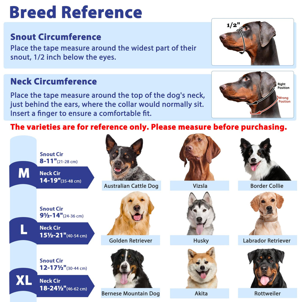BARKLESS dog-walking-setup showcases practical training support for calmer strolls
