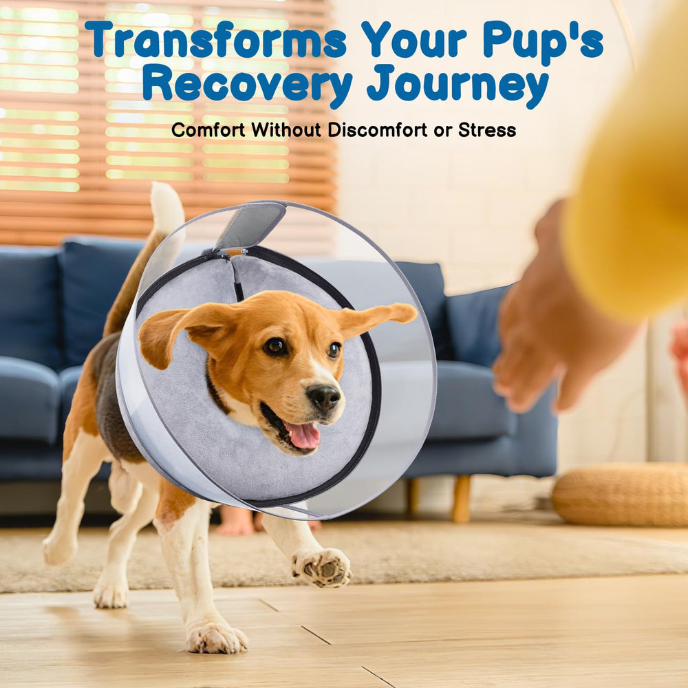 BARKLESS donut collar high-shield detail highlights elevated barrier against licking