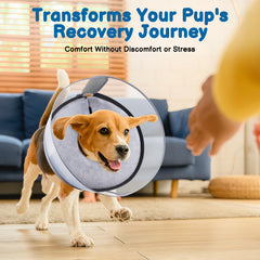 BARKLESS donut collar high-shield detail highlights elevated barrier against licking